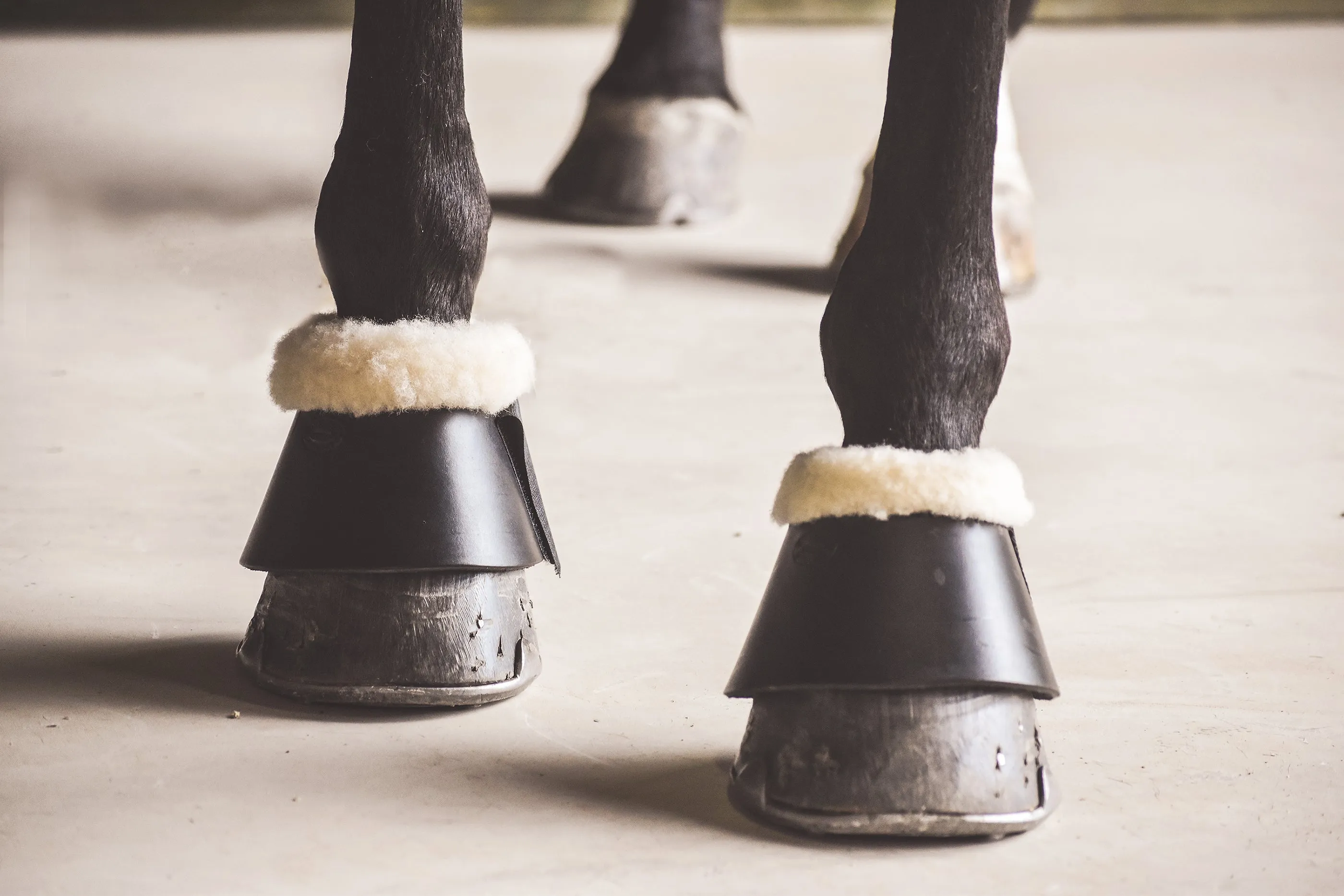 Drovers Saddlery Made Leather Bell Boots