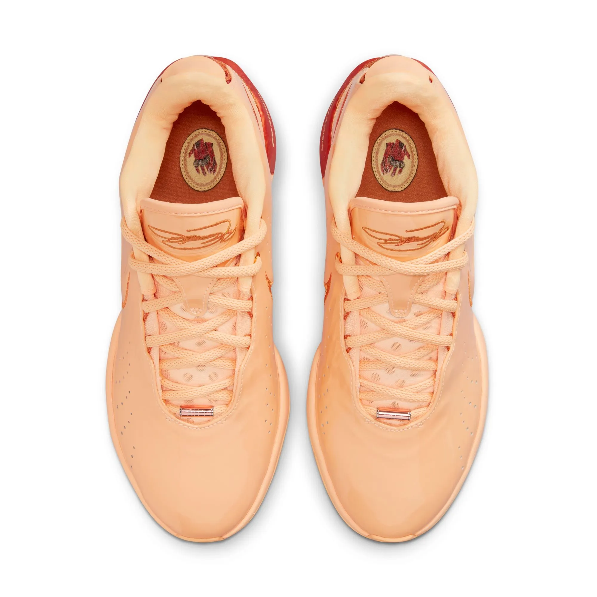 Nike Lebron XXI (Melon Tint/Monarch)